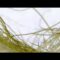 Antony and the Johnsons – “Future Feminism” (Official Video)