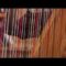 Yolanda Kondonassis: NPR Music Tiny Desk Concert