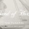 Band of Horses – The Funeral [OFFICIAL VIDEO]