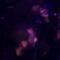 TYGA (YMCMB) IN LONDON (GRIME DAILY ALL ACCESS)