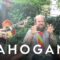 Les Savy Fav – Lips n Stuff | Mahogany Session
