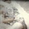 Dave Fischoff – “Small Drifts” (Official Video)