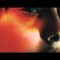 Delicate Steve – Redeemer (Official Audio)