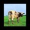 Pink Floyd – Atom Heart Mother Suite (Full Song)