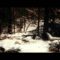 Bowerbirds – “In Our Talons” (Official Video)