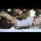 Damien Jurado – “Caskets” (Official Video)