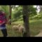 The Terror Pigeon Dance Revolt! singing to Oslo’s ovine