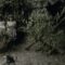 Iron & Wine – Southern Anthem [OFFICIAL VIDEO]