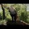 Zen-Zin & Pawcut – Time Will Tell