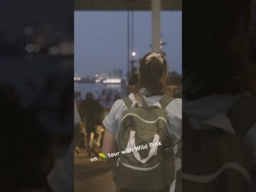 [ID: lXg3g4knt1Y] Youtube Automatic