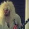 THOR SHREDSTEEN DVD Trailer on Metal Injection