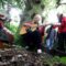 Lanterns on the Lake performs “Not Going Back To The Harbour” for The Line of Best Fit