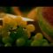 Iron & Wine – Naked as We Came [OFFICIAL VIDEO]