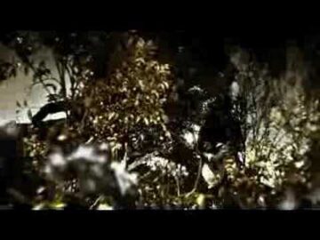 [ID: nLxNjY5fW_s] Youtube Automatic