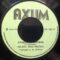 Delroy Washington – Freedom Fighters / version