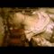 “Girl In Port” by Okkervil River