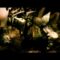 The Rosebuds – Life Like