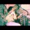 Wolf People – “Tiny Circles” (Official Video)