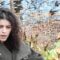 Superhumanoids – Hey Big Bang | The Wild Honey Pie Buzzsession