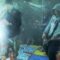 New Found Glory – Understatement (MTV Version)