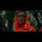 [ID: UaZmpLoUWI8] Youtube Automatic
