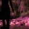 Polvo – Right the Relation