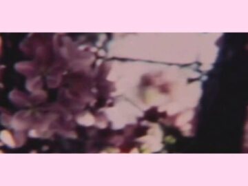 [ID: uNdEKQiU4So] Youtube Automatic
