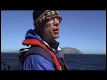 [ID: UW-DwgTSfpc] Youtube Automatic