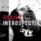 Dgainz Introspective