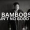 The Bamboos – You Ain’t No Good