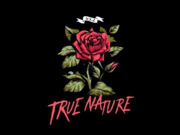 [ID: YOZB6Z752wI] Youtube Automatic