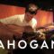 Damian Kulash (OK Go) – Last Leaf | Mahogany Session