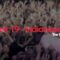 Twenty One Pilots – tripsforconcerts Tour, Indianapolis ​​​ | House of Blues