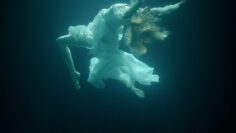 Strange Plants – You Say Falling