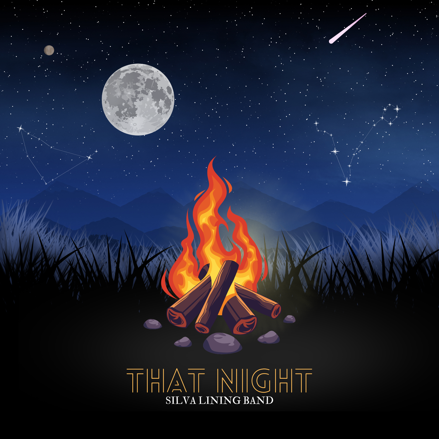 Silva Lining Band — That Night promotional image