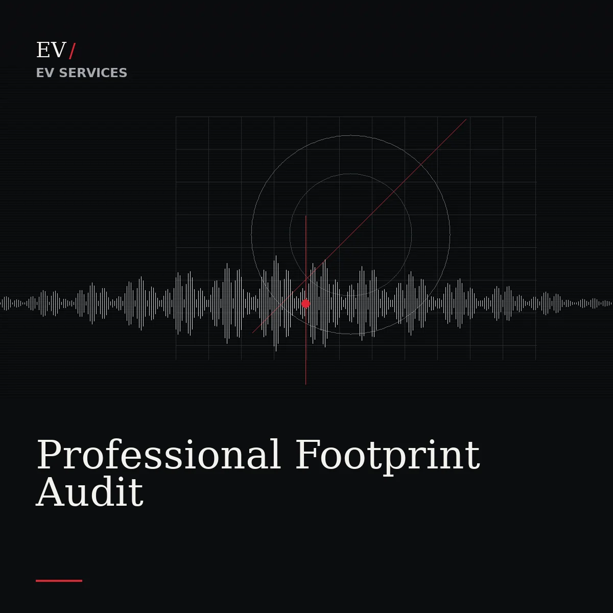 Professional Footprint Audit — Exposed Vocals service cover